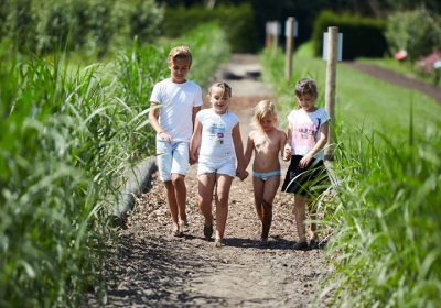 Wandelen jullie net als ons ook graag in de natuur tijdens de Pinksterdagen? Doe…